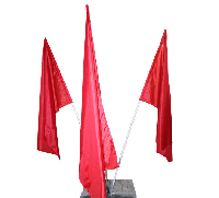 Пламя 3 штока