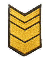 Шеврон по годам службы (годовка) 12 лет службы (выслуги лет), 6х9,5 см