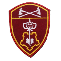 Шеврон вневедомственная охрана Приволжского округа войск Национальной гвардии, Росгвардии РФ, 7,5х10 см