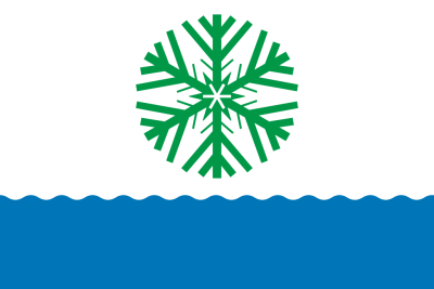 Флаг Новодвинска 90х135 см