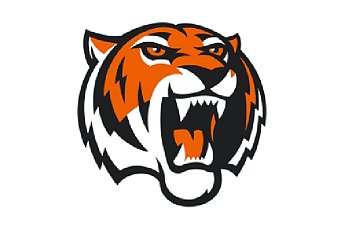 Флаг хоккейного клуба Амурские Тигры Хабаровск