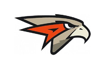 Флаг хоккейного клуба Авангард (Омские Ястребы)